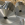 3003 / 3004 H32 Aluminum Foil for Container Trays5